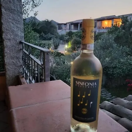 Orsa Maggiore * Monte Petrosu