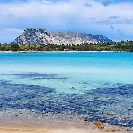 Orsa Maggiore Σπίτι διακοπών Monte Petrosu
